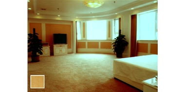 长春宾馆客房地毯