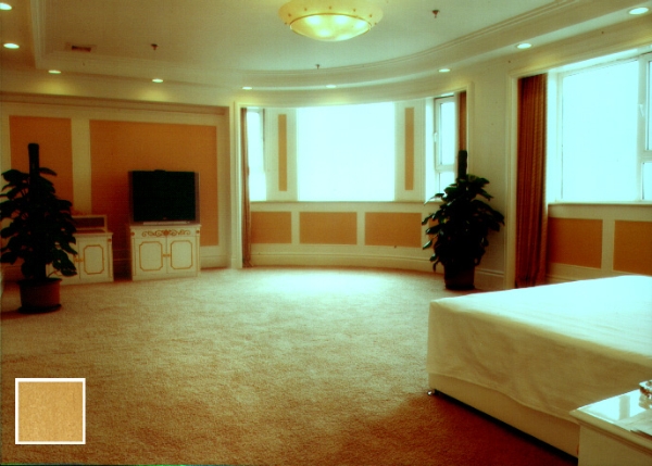 长春宾馆用地毯